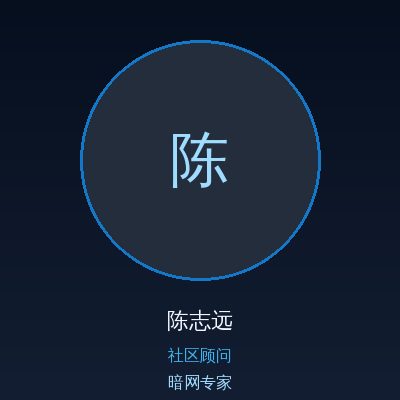 暗网陈志远