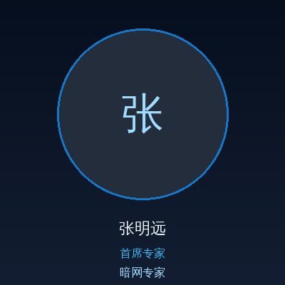 暗网张明远